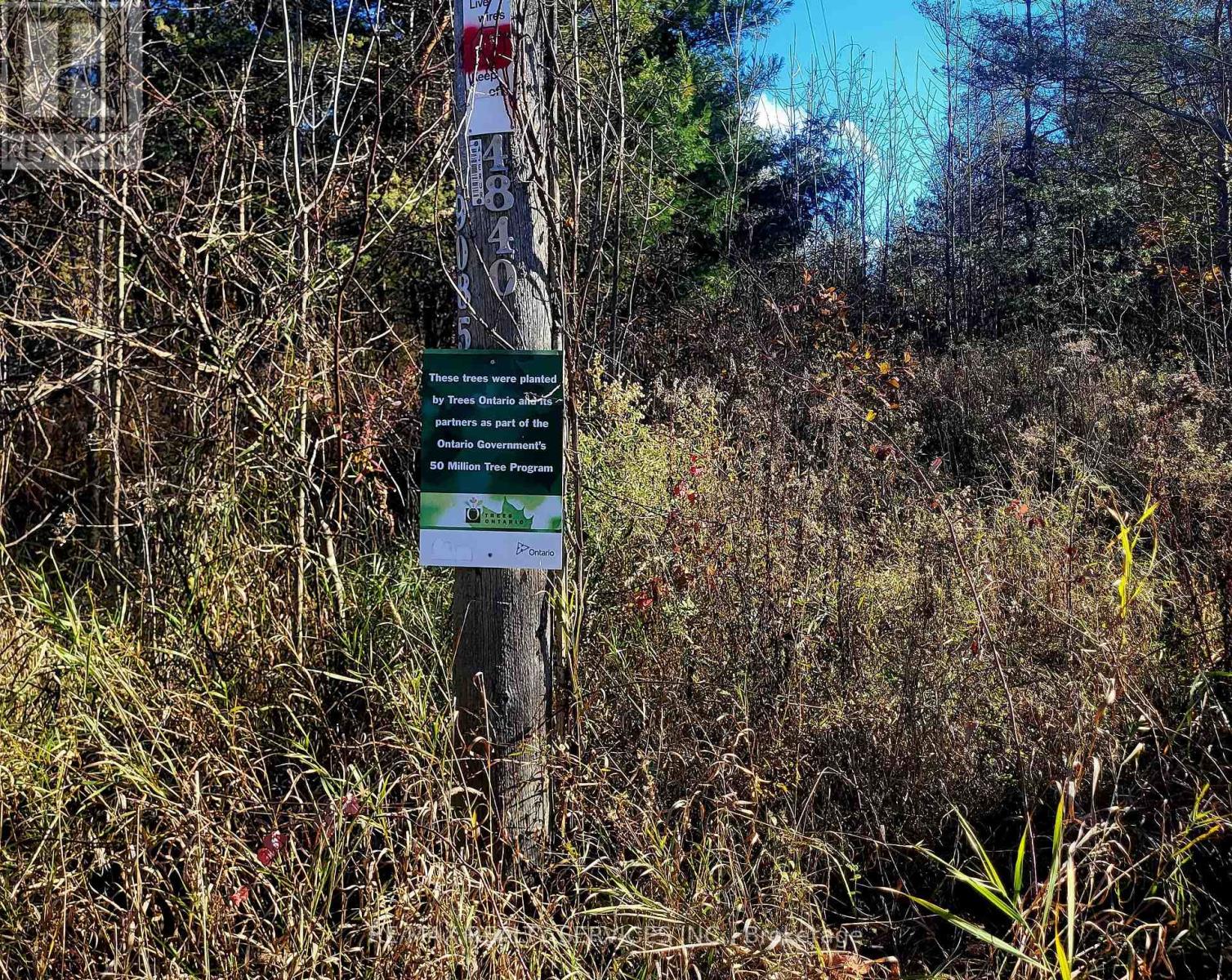 395421 Concession 2 Road Property Photo 11