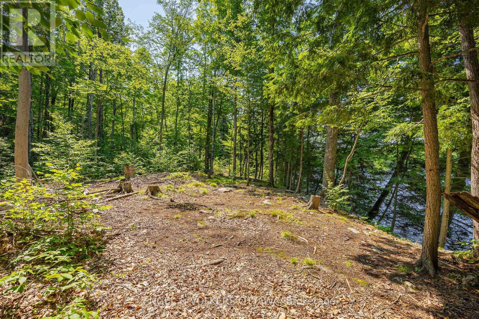 223 Shady Maple Road Property Photo 8