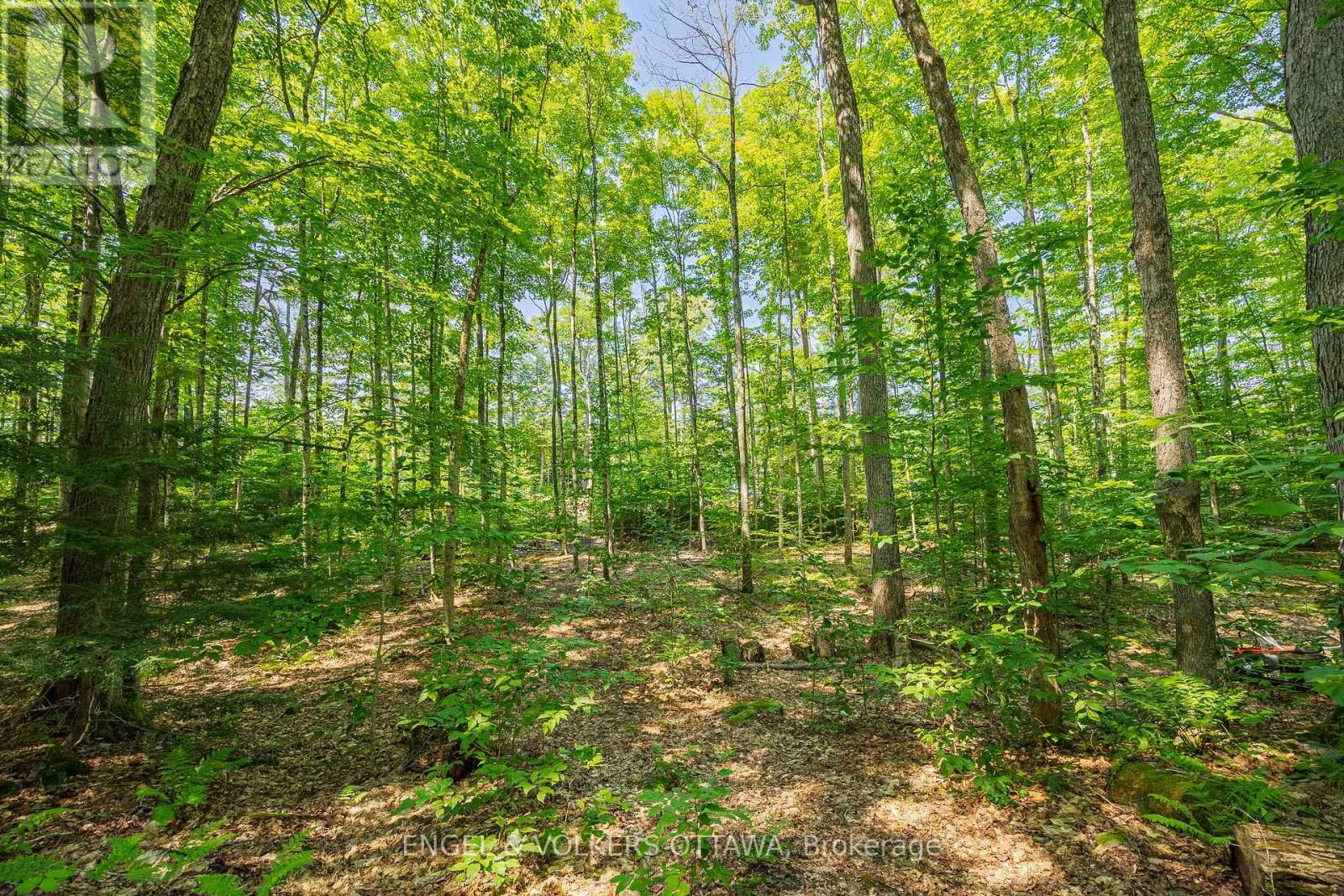 223 Shady Maple Road Property Photo 9