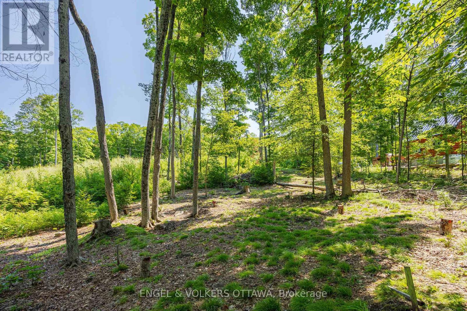 223 Shady Maple Road Property Photo 10