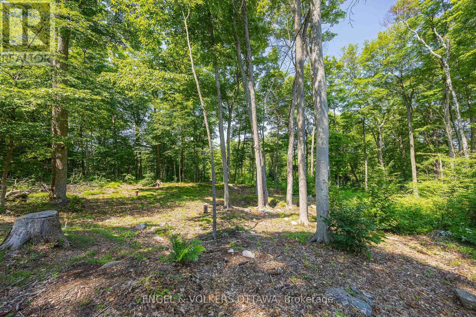 223 Shady Maple Road Property Photo 11