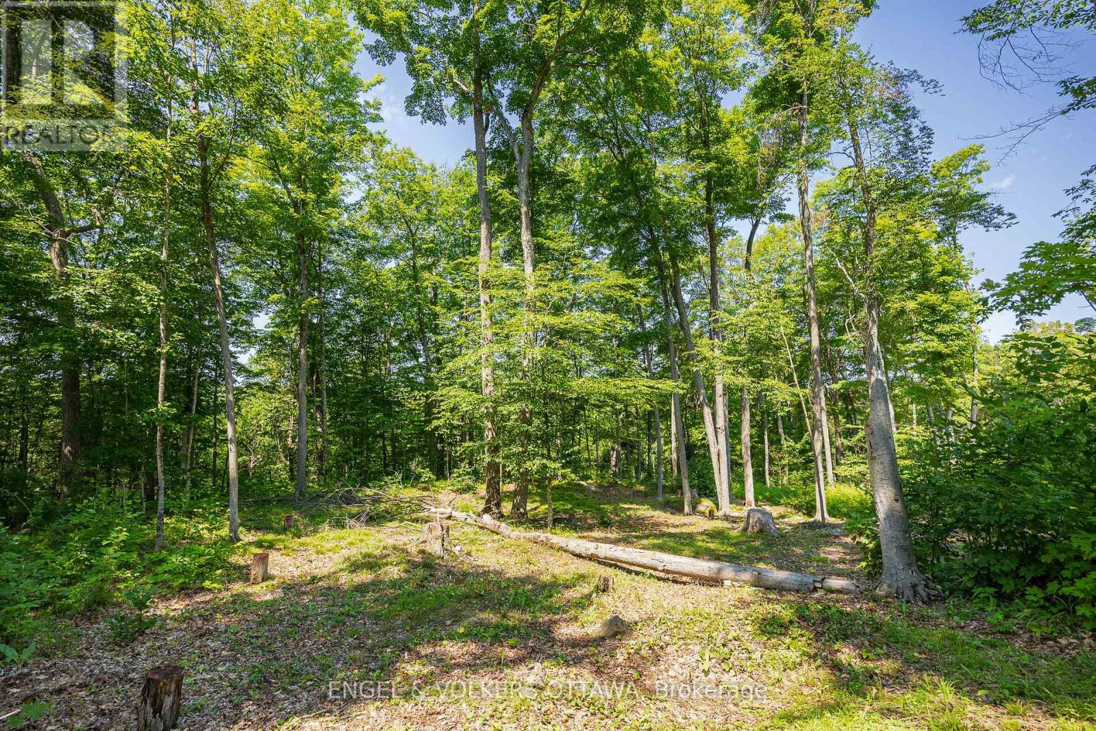 223 Shady Maple Road Property Photo 12