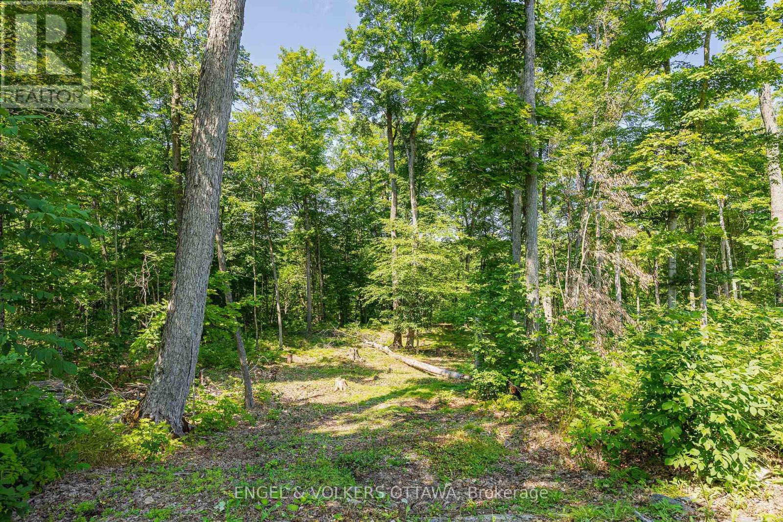 223 Shady Maple Road Property Photo 13