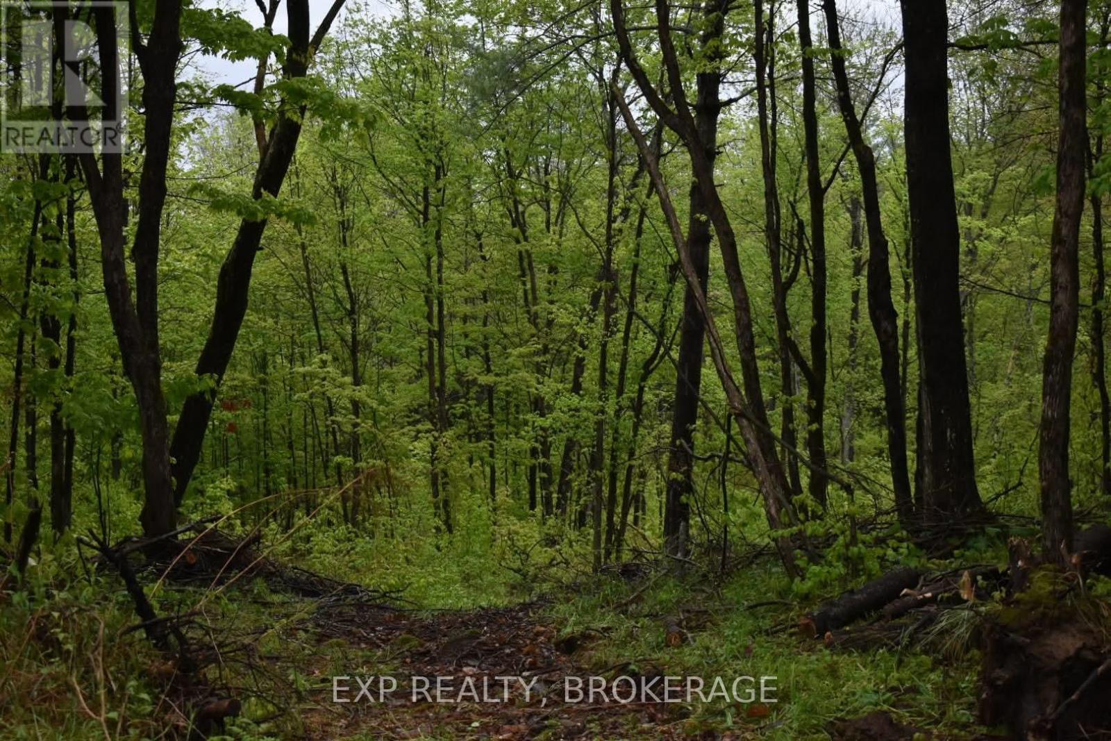 2100 Mclean Road Property Photo 9
