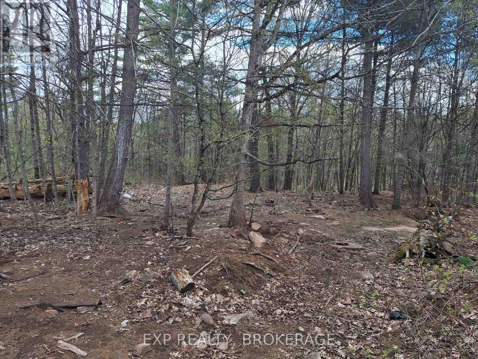 2100 Mclean Road Property Photo 30