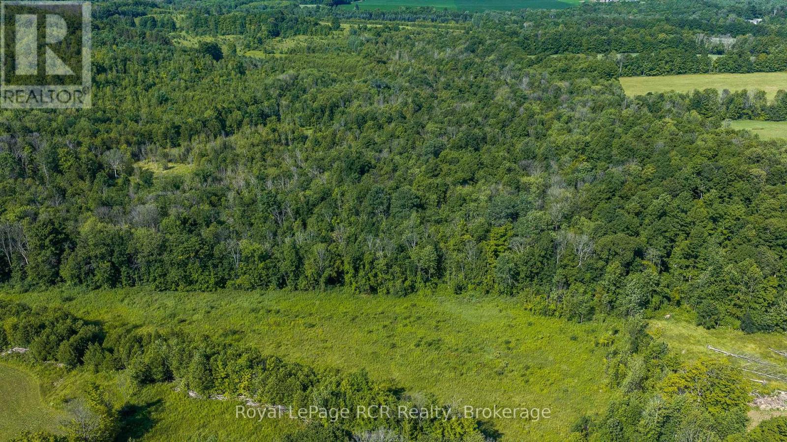 637316 St. Vincent-sydenham Townline Property Photo 39