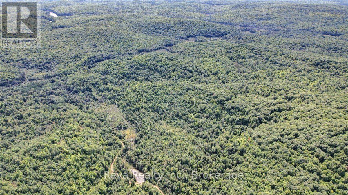 0 Snake Rapids Road Property Photo 10