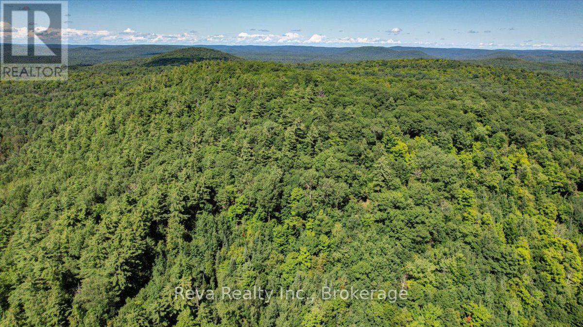 0 Snake Rapids Road Property Photo 11