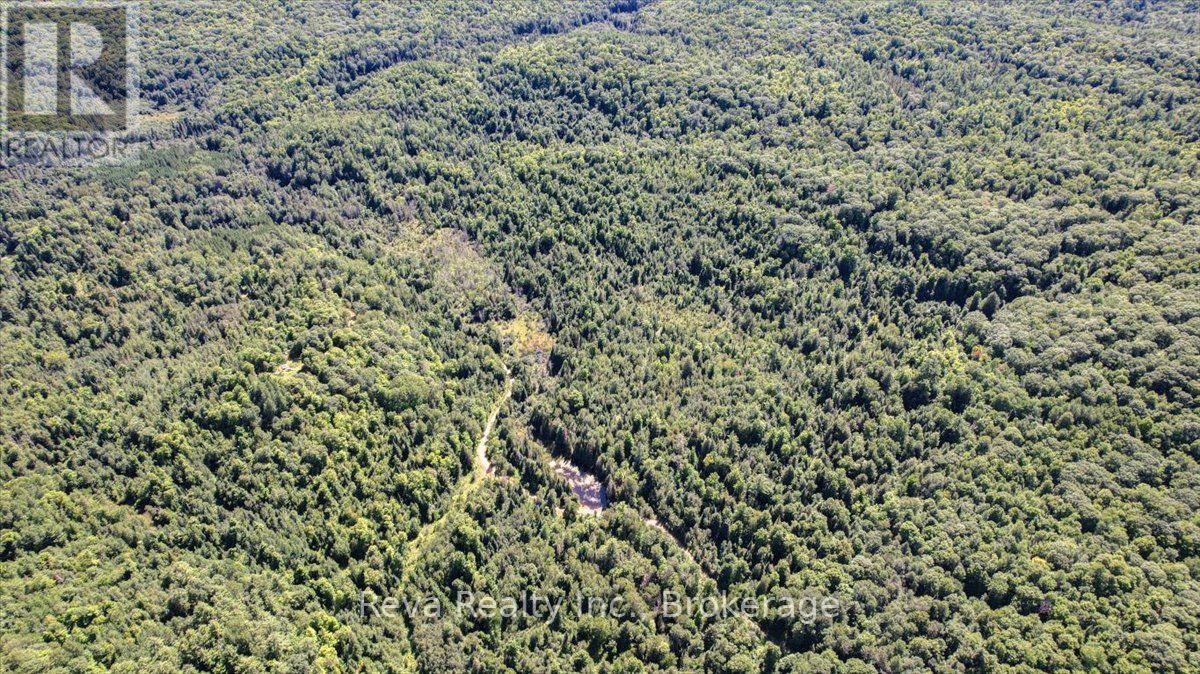 0 Snake Rapids Road Property Photo 12