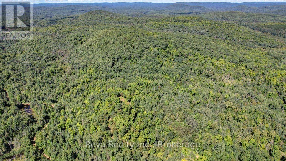 0 Snake Rapids Road Property Photo 13