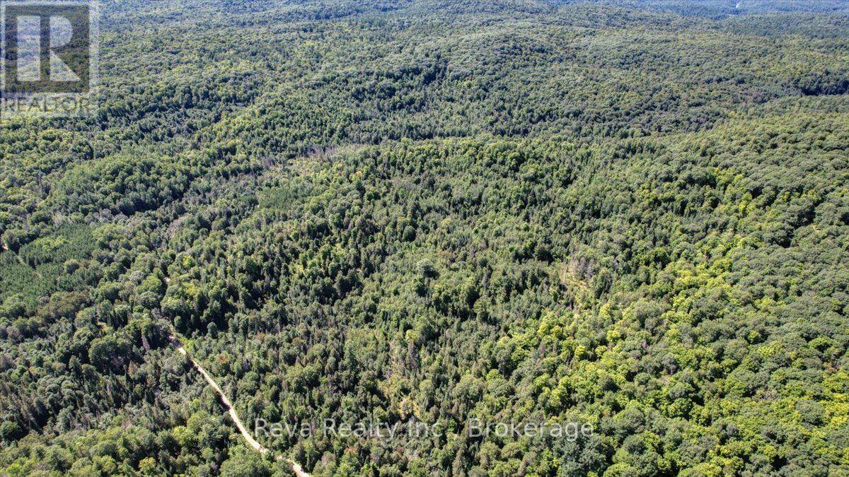 0 Snake Rapids Road Property Photo 16