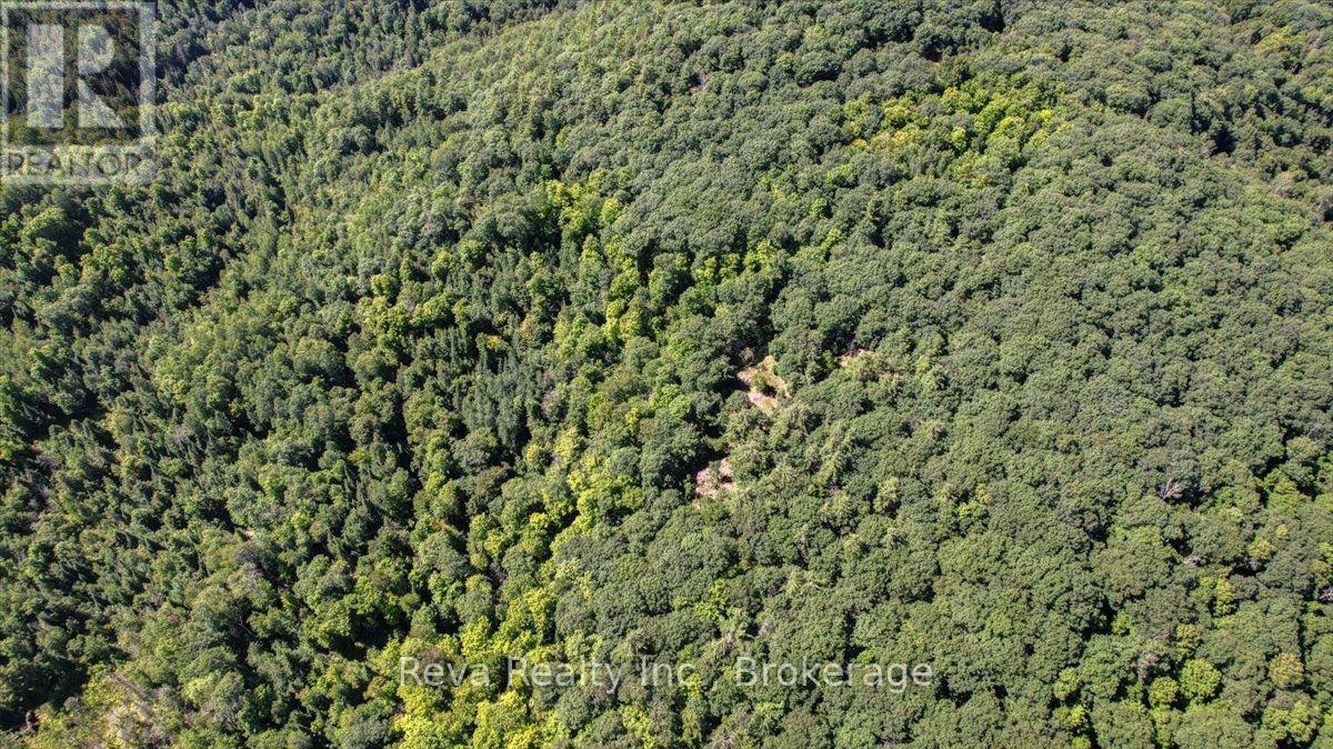 0 Snake Rapids Road Property Photo 17