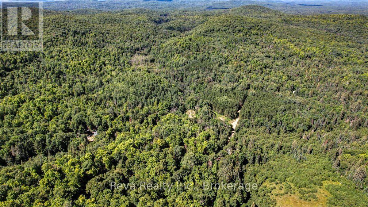 0 Snake Rapids Road Property Photo 19
