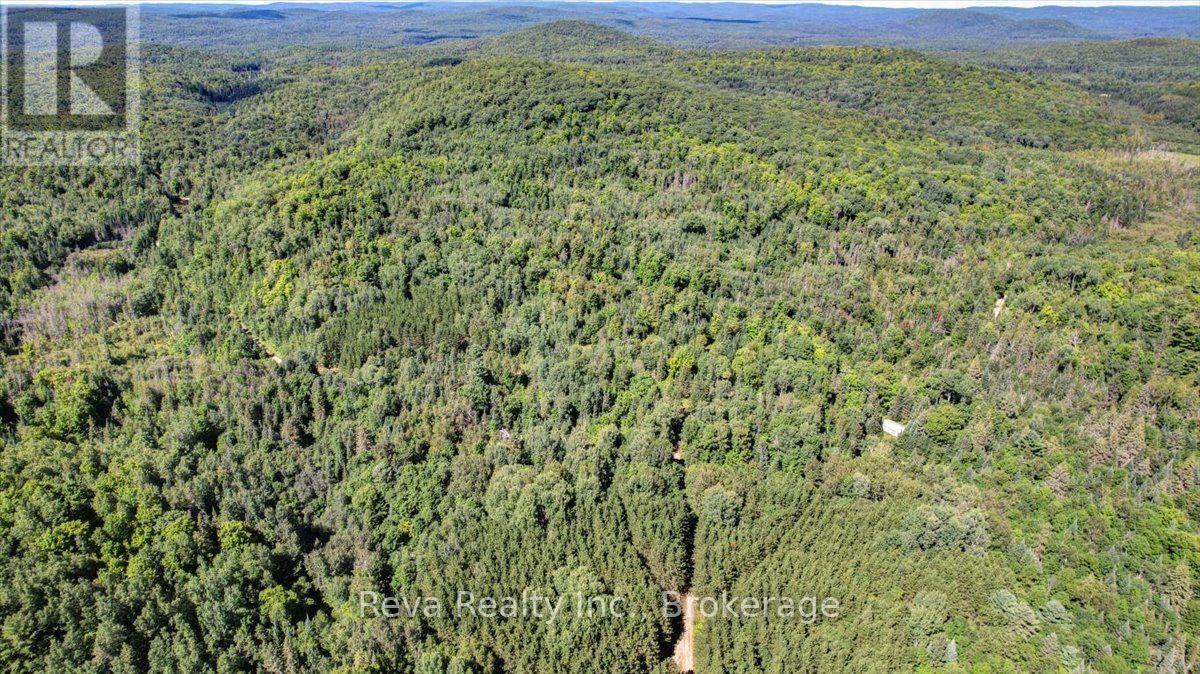 0 Snake Rapids Road Property Photo 20