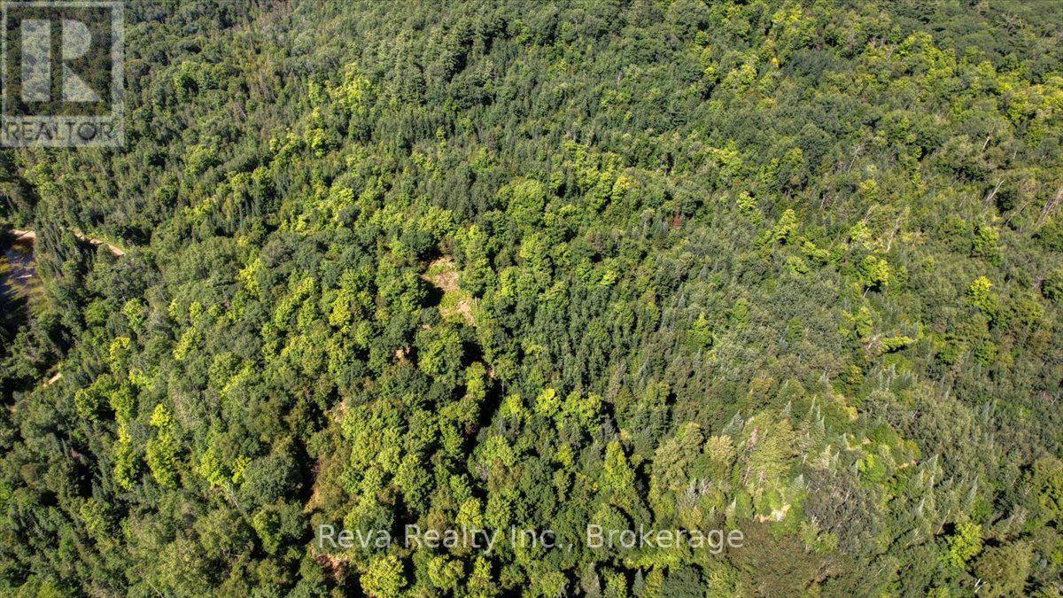 0 Snake Rapids Road Property Photo 21