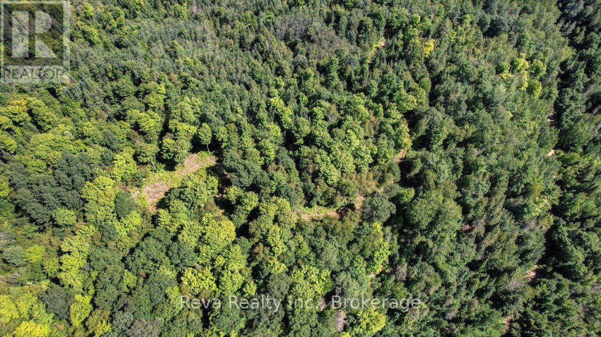 0 Snake Rapids Road Property Photo 22