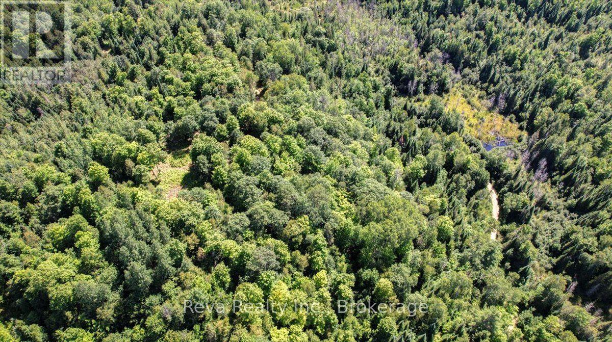 0 Snake Rapids Road Property Photo 23