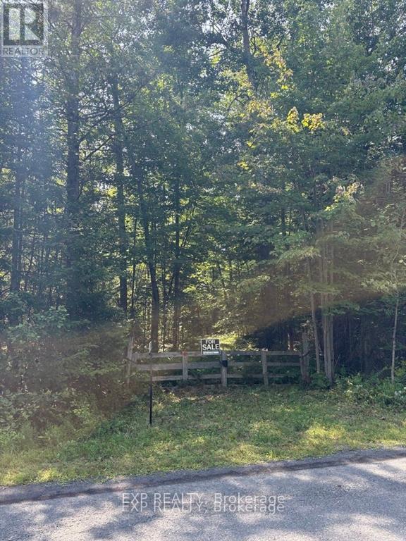 1 Lot 1 Concession 2 Part 4 Boundary Concession Property Photo 2
