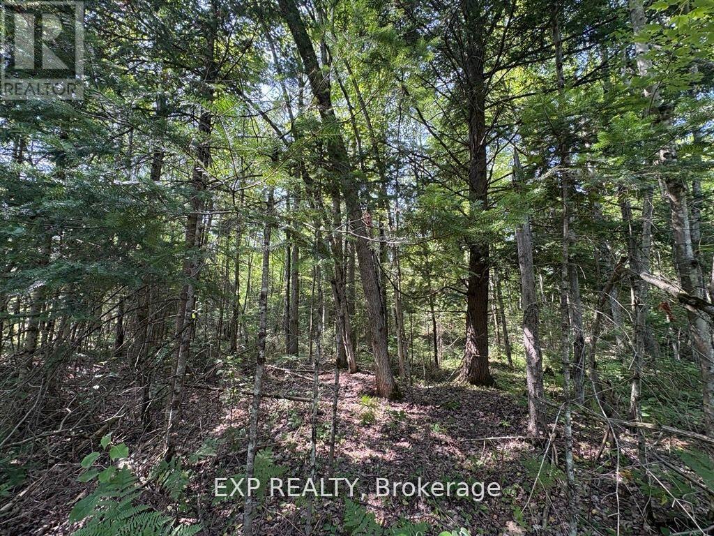 1 Lot 1 Concession 2 Part 4 Boundary Concession Property Photo 3