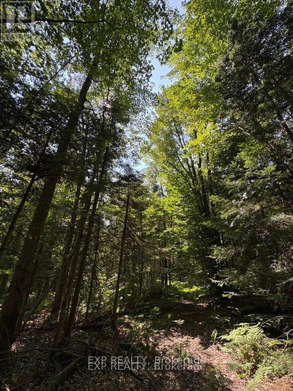 1 Lot 1 Concession 2 Part 4 Boundary Concession Property Photo 4