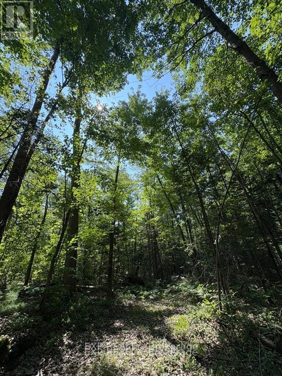 1 Lot 1 Concession 2 Part 4 Boundary Concession Property Photo 5