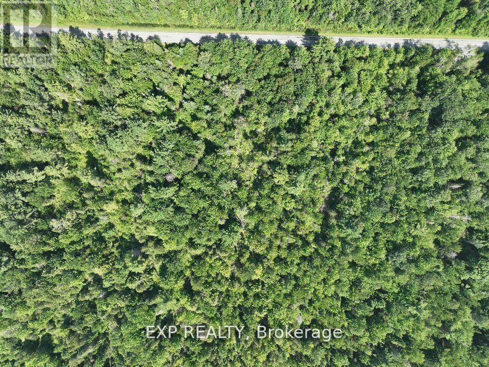1 Lot 1 Concession 2 Part 4 Boundary Concession Property Photo 9