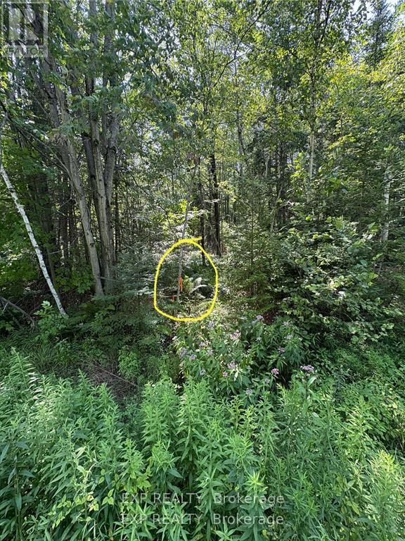 1 Lot 1 Concession 2 Part 4 Boundary Concession Property Photo 11