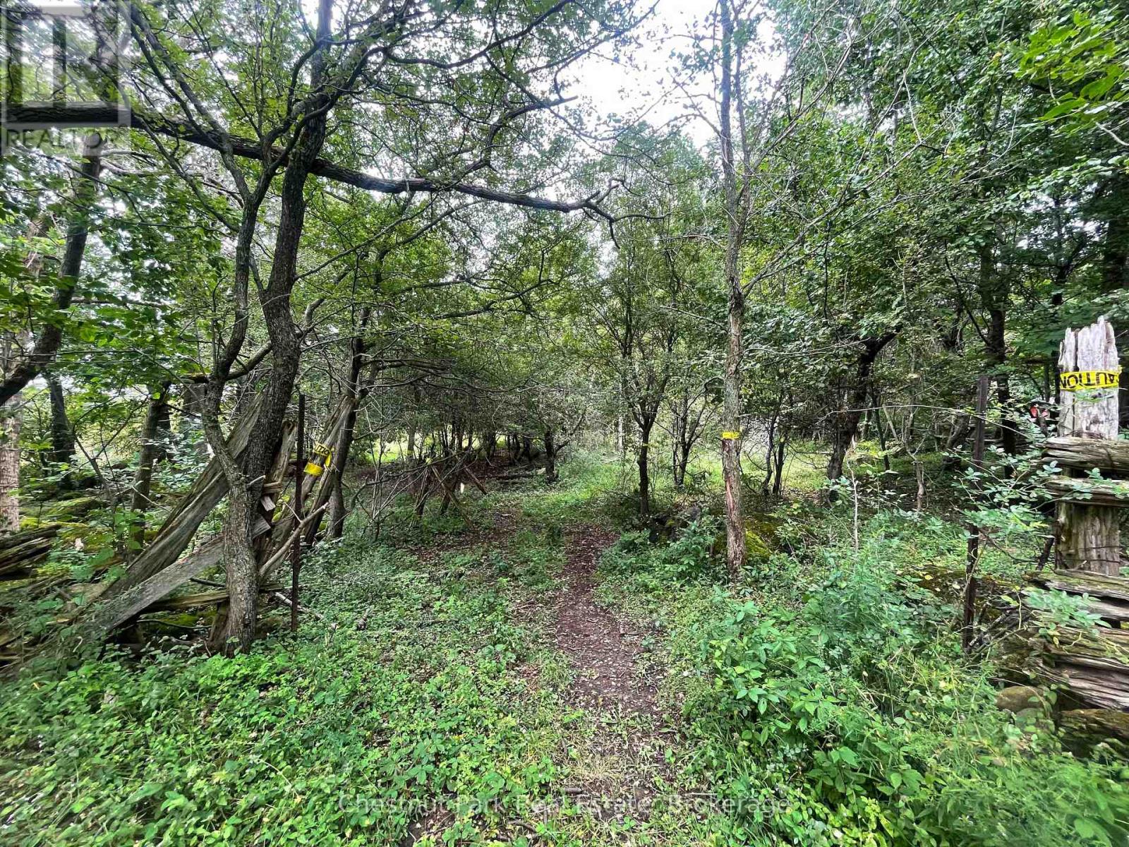 Pt Lt 25 Purple Valley Road Property Photo 4