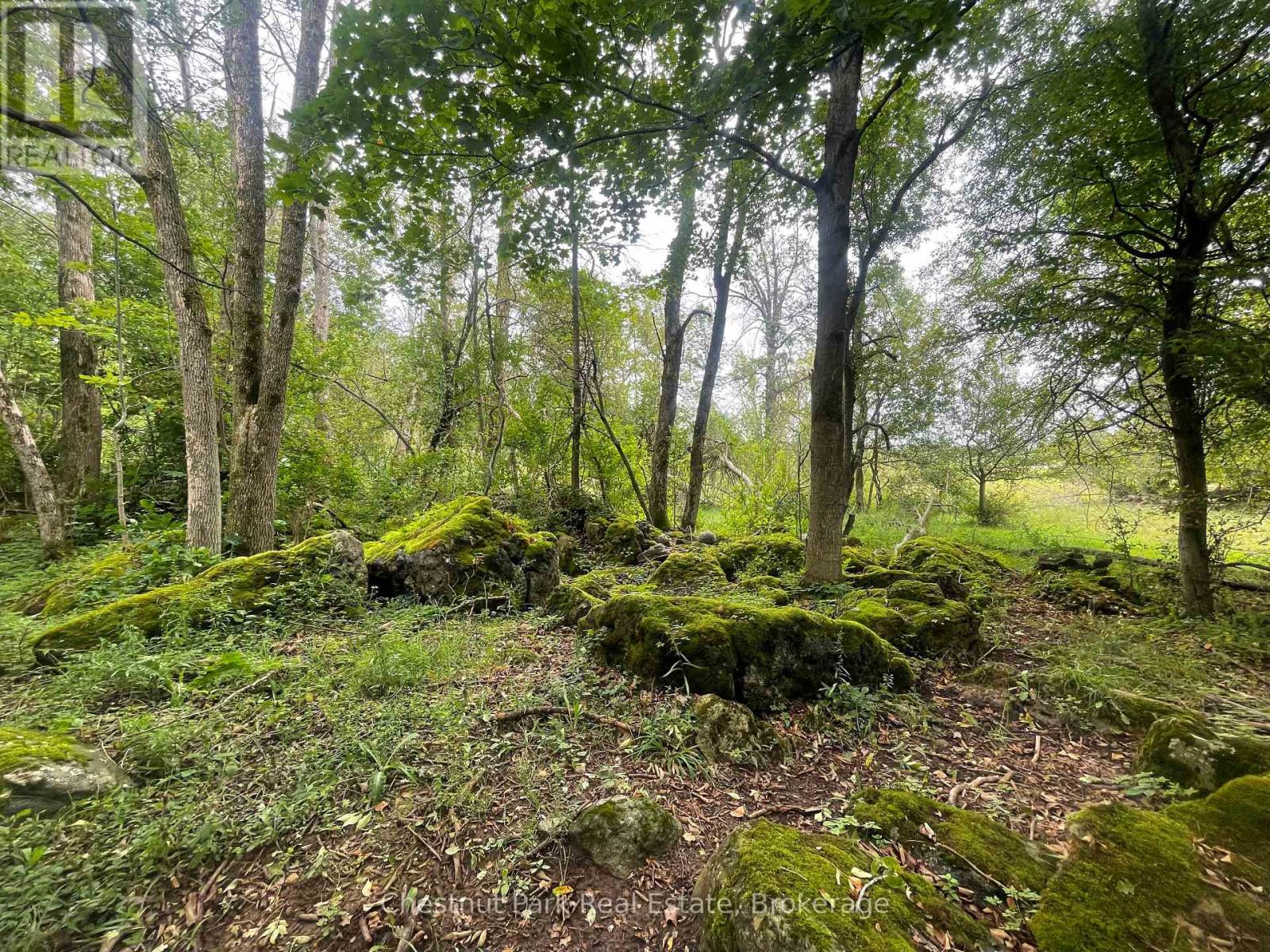 Pt Lt 25 Purple Valley Road Property Photo 5