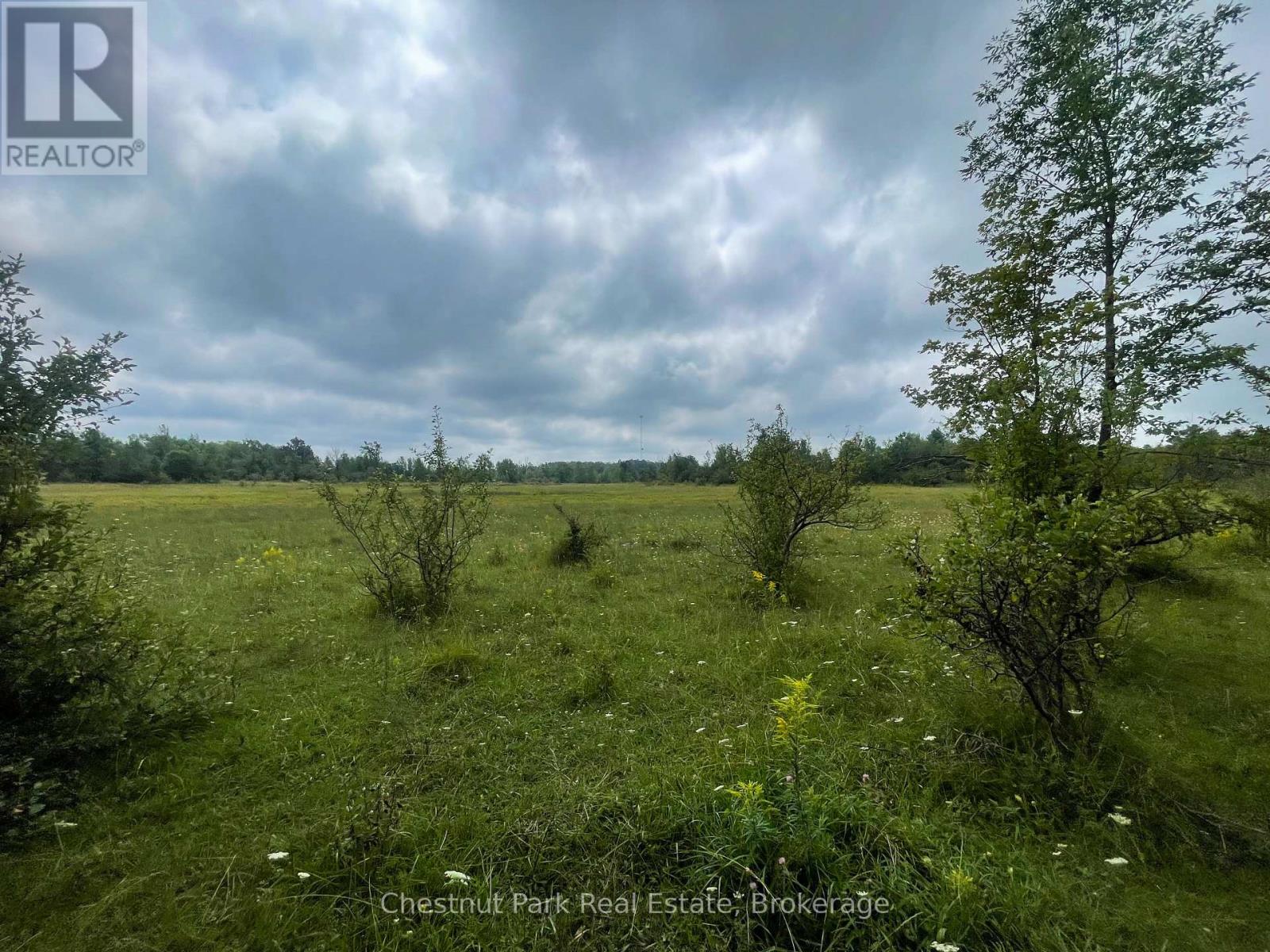 Pt Lt 25 Purple Valley Road Property Photo 6