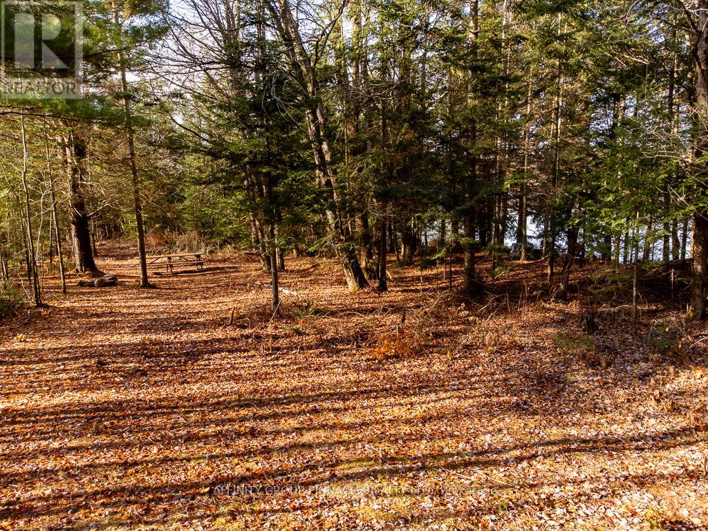 Lot 7 Comfort Drive Property Photo 5