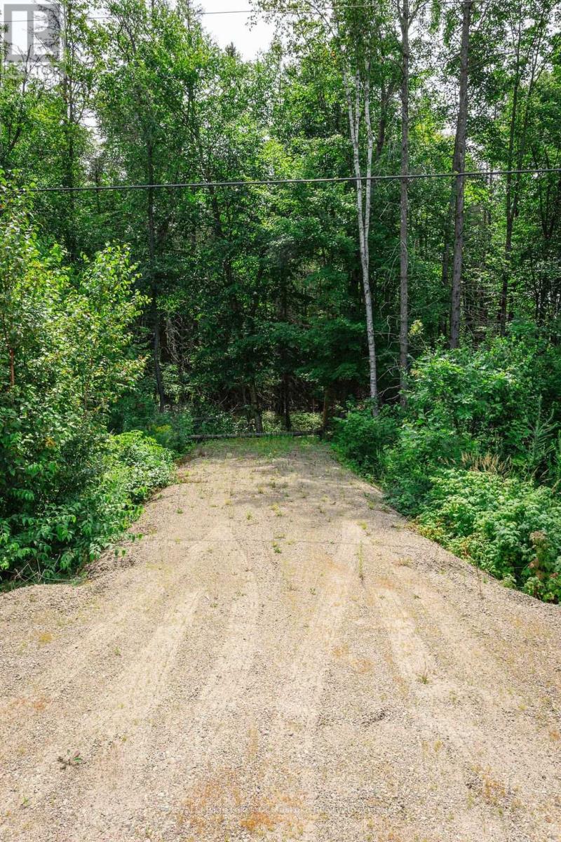 167 North Pickerel Lake Road Property Photo 2