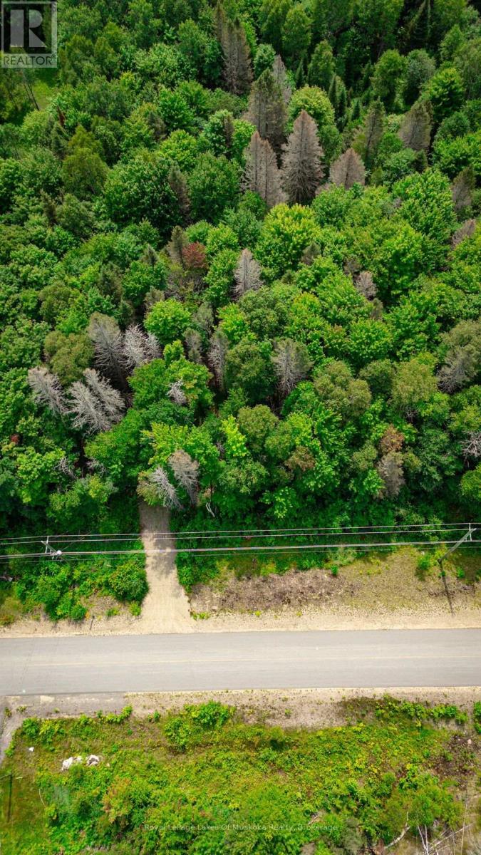 167 North Pickerel Lake Road Property Photo 3