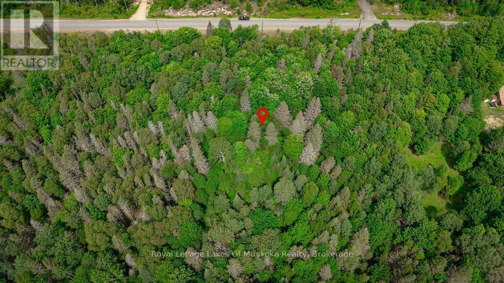 167 North Pickerel Lake Road Property Photo 4