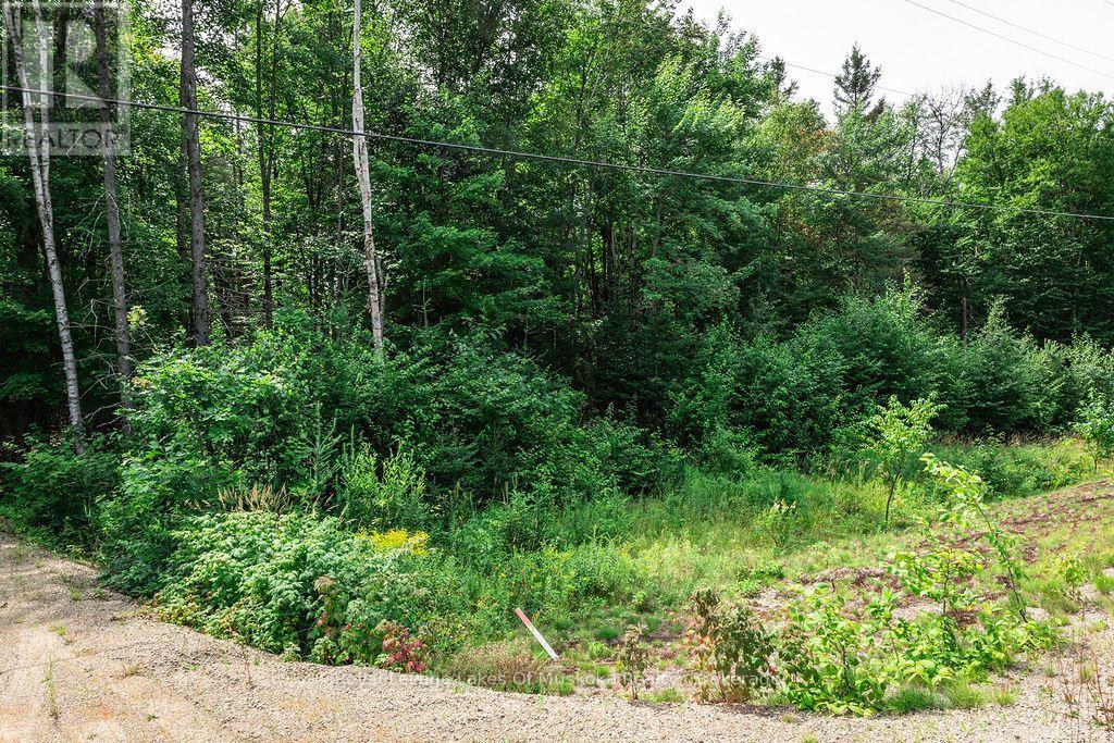 167 North Pickerel Lake Road Property Photo 6
