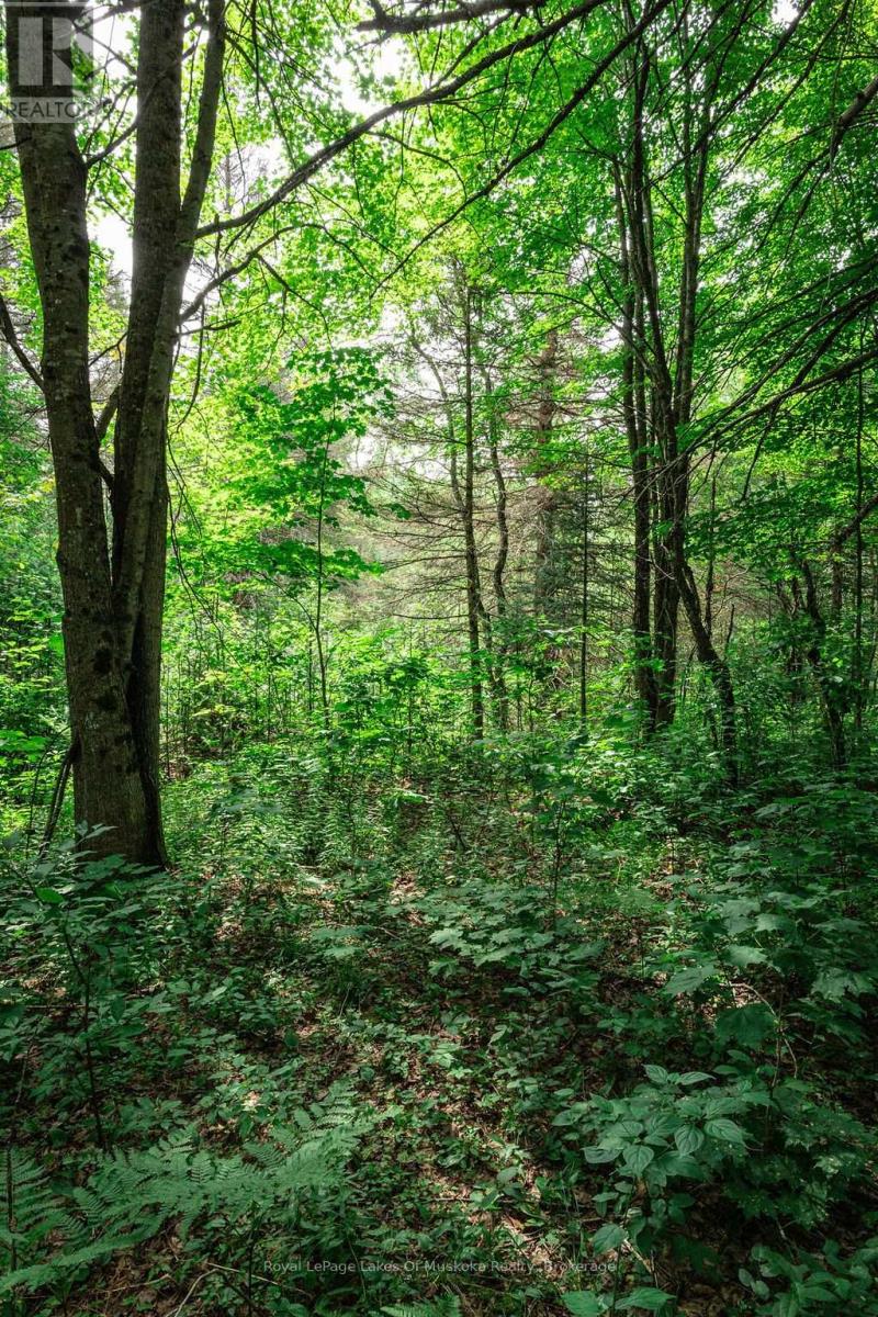 167 North Pickerel Lake Road Property Photo 10