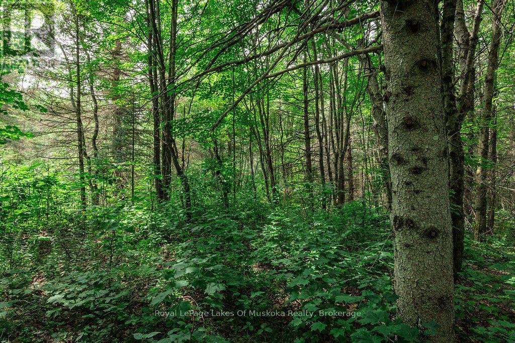 167 North Pickerel Lake Road Property Photo 11