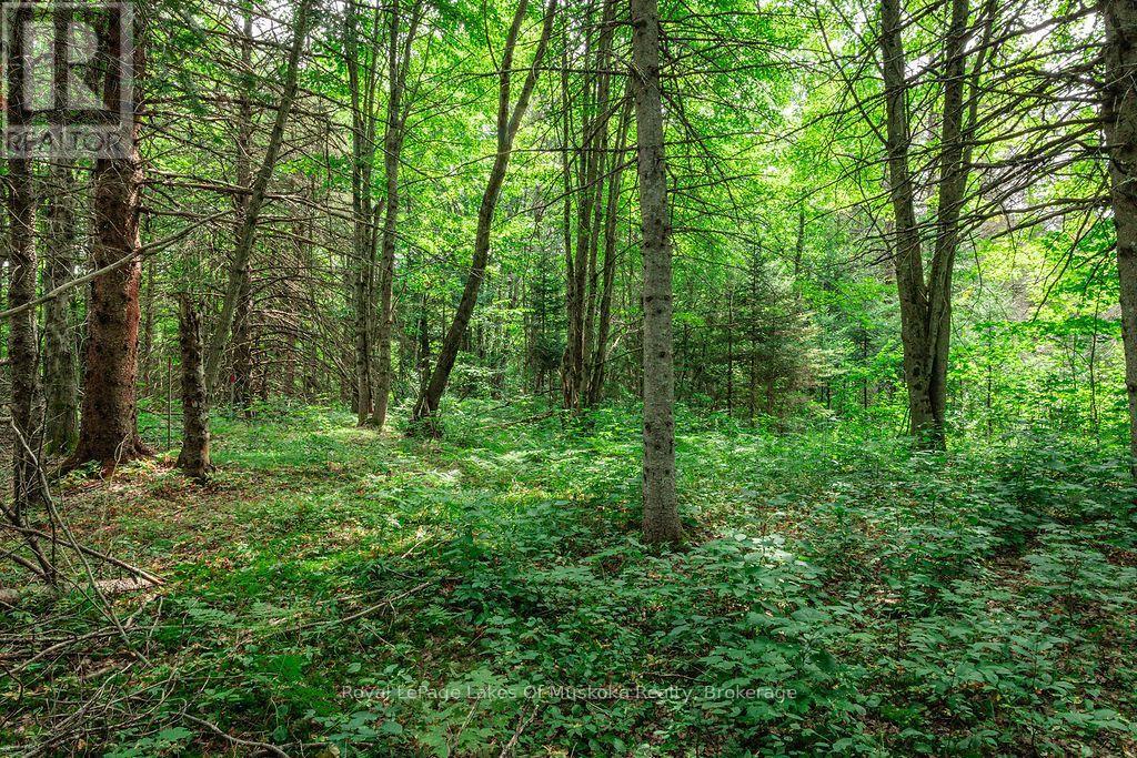 167 North Pickerel Lake Road Property Photo 13