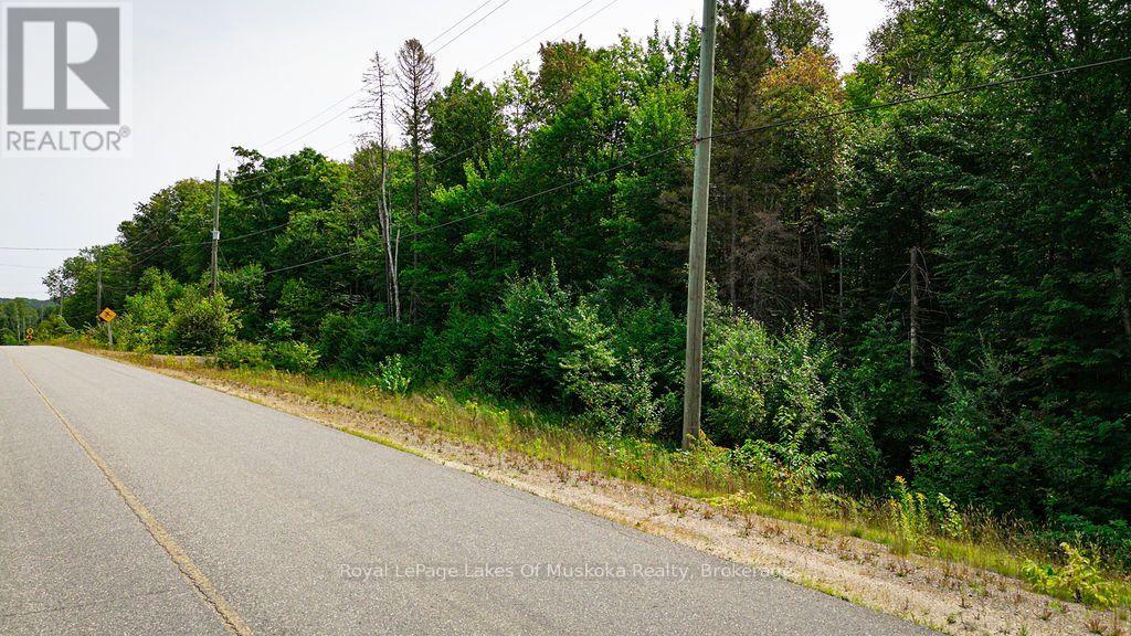 167 North Pickerel Lake Road Property Photo 18