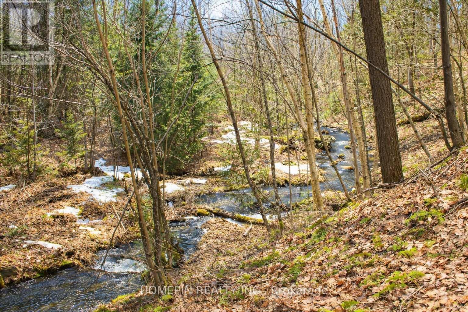 673 Buckshot Lake Road Property Photo 3