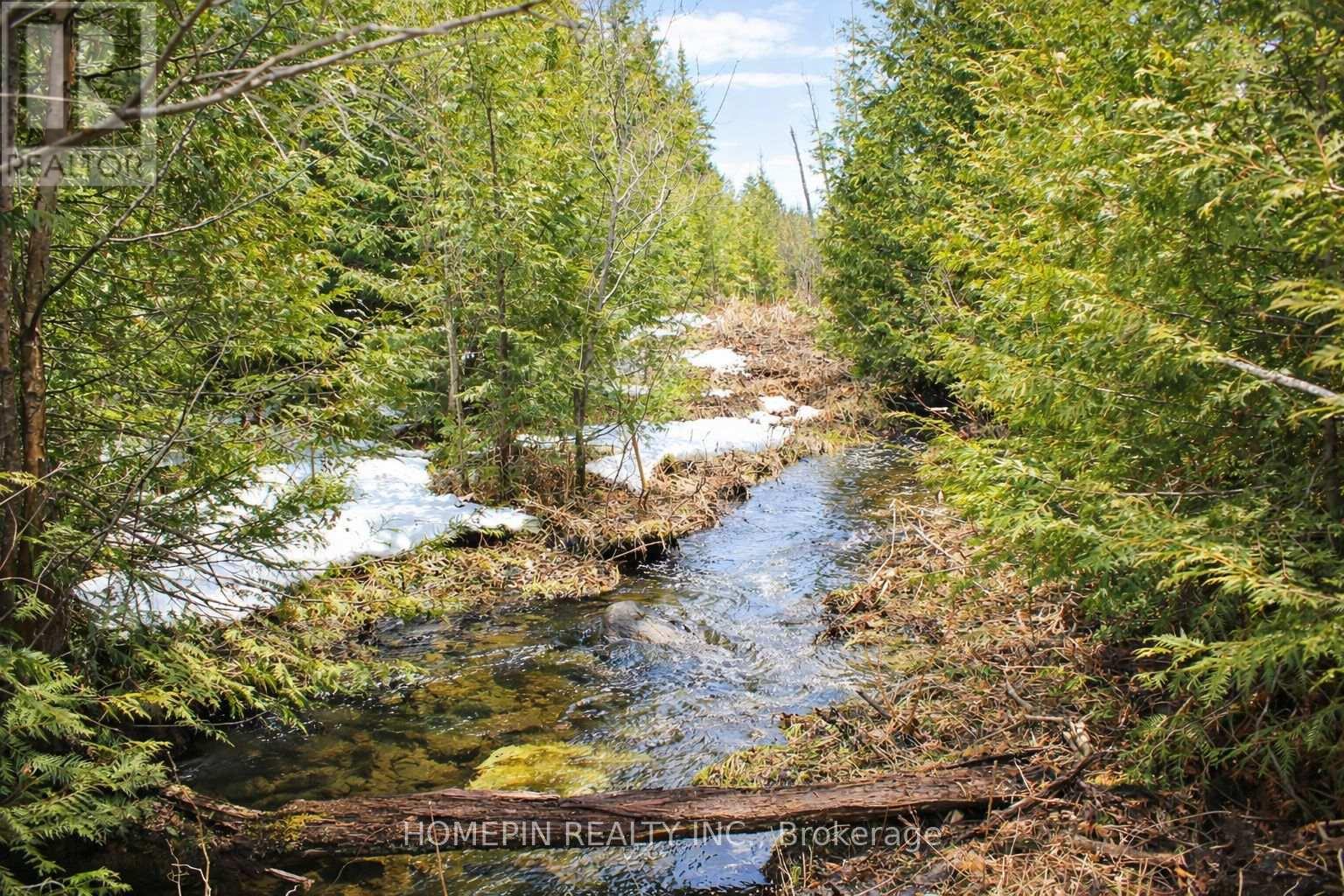 673 Buckshot Lake Road Property Photo 4