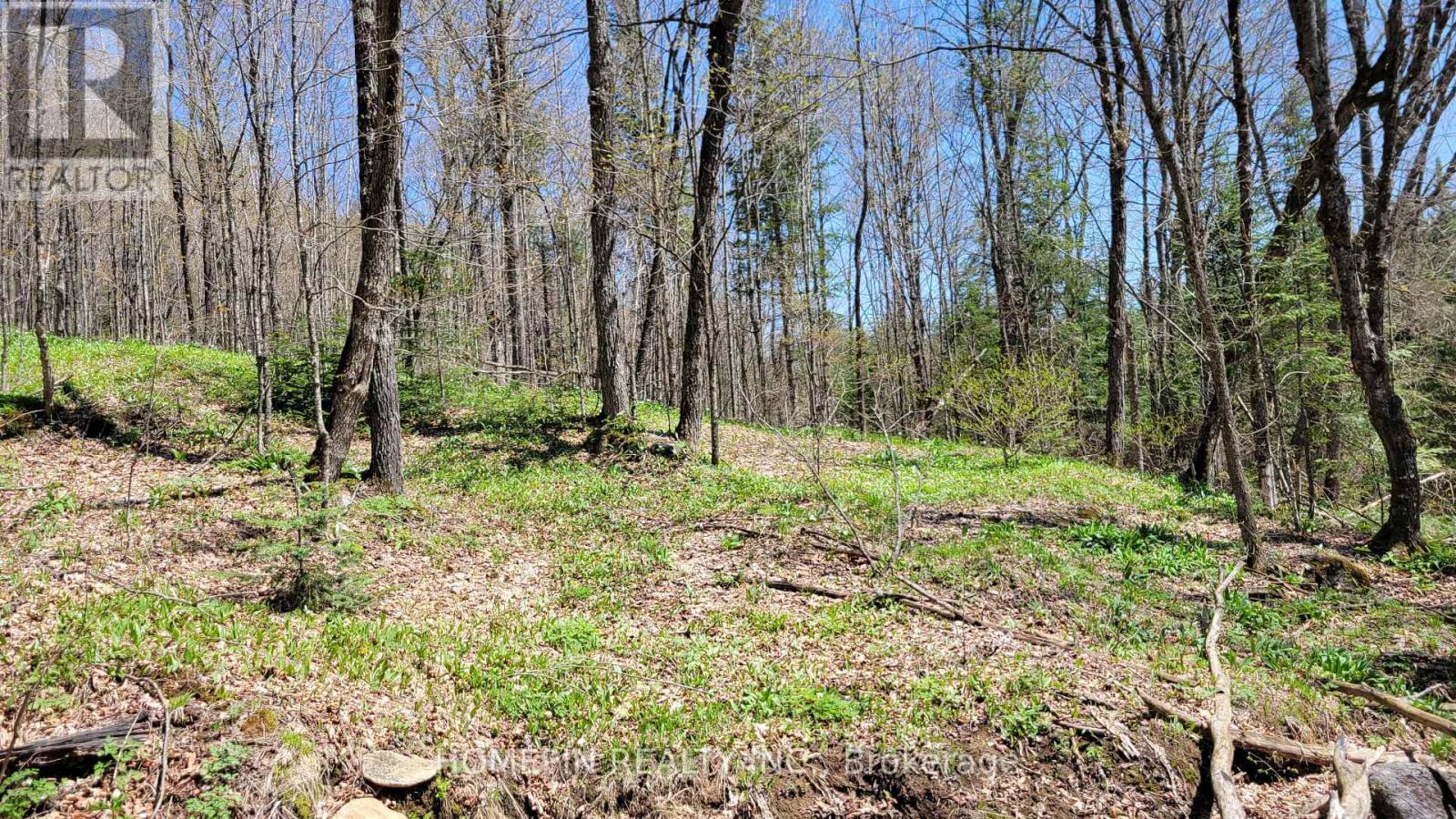 673 Buckshot Lake Road Property Photo 5