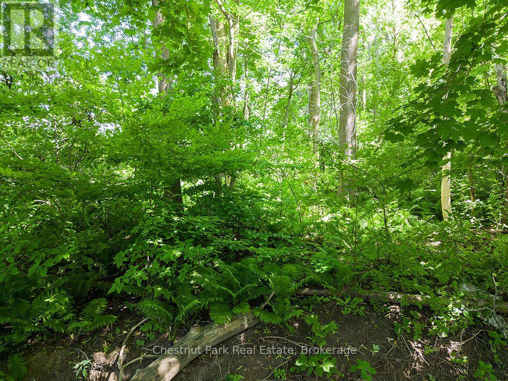 227 Eliza Street Property Photo 14