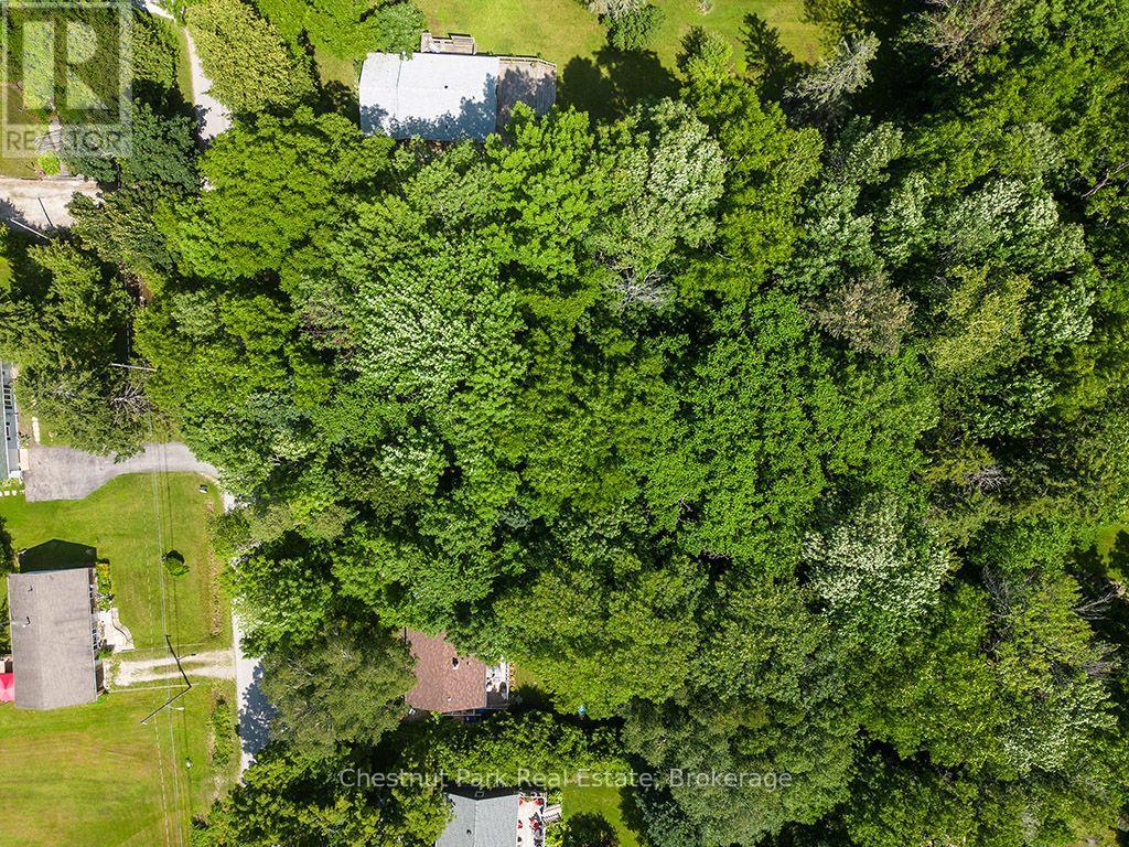 227 Eliza Street Property Photo 16