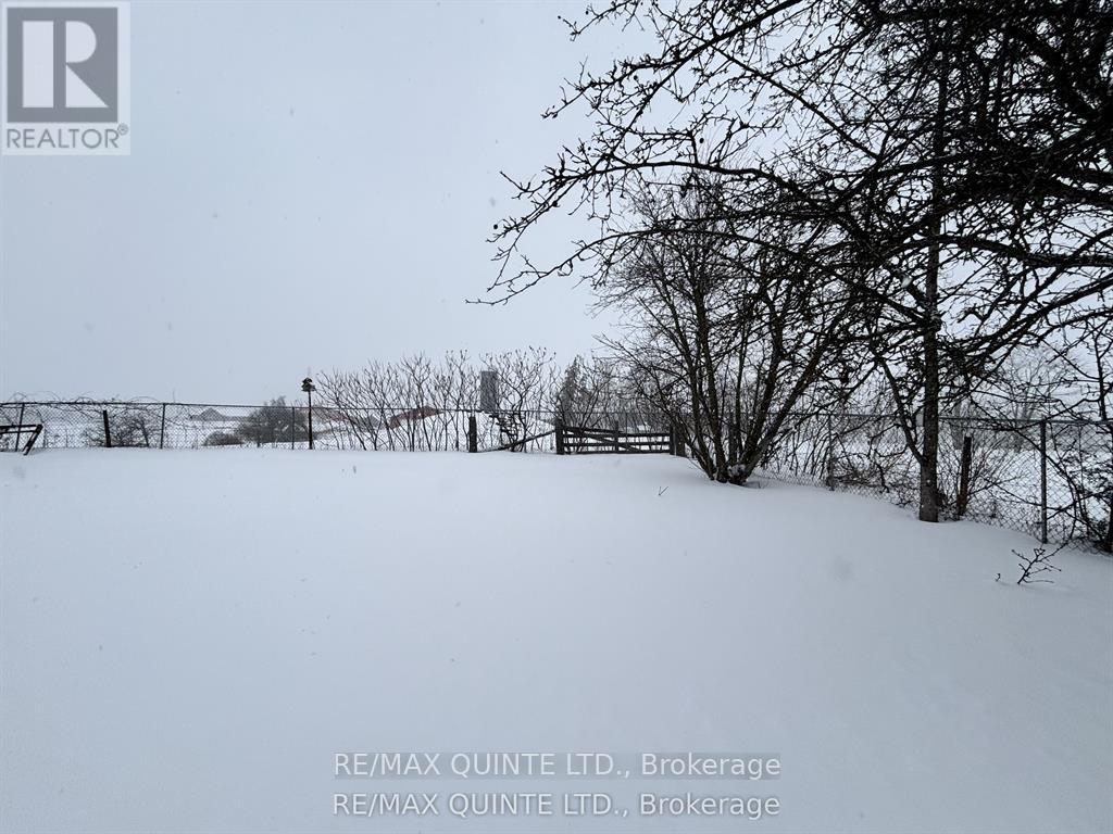 3810 Springbrook Road Property Photo 32