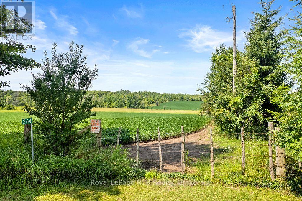 242 Pleasantview Road Property Photo 17