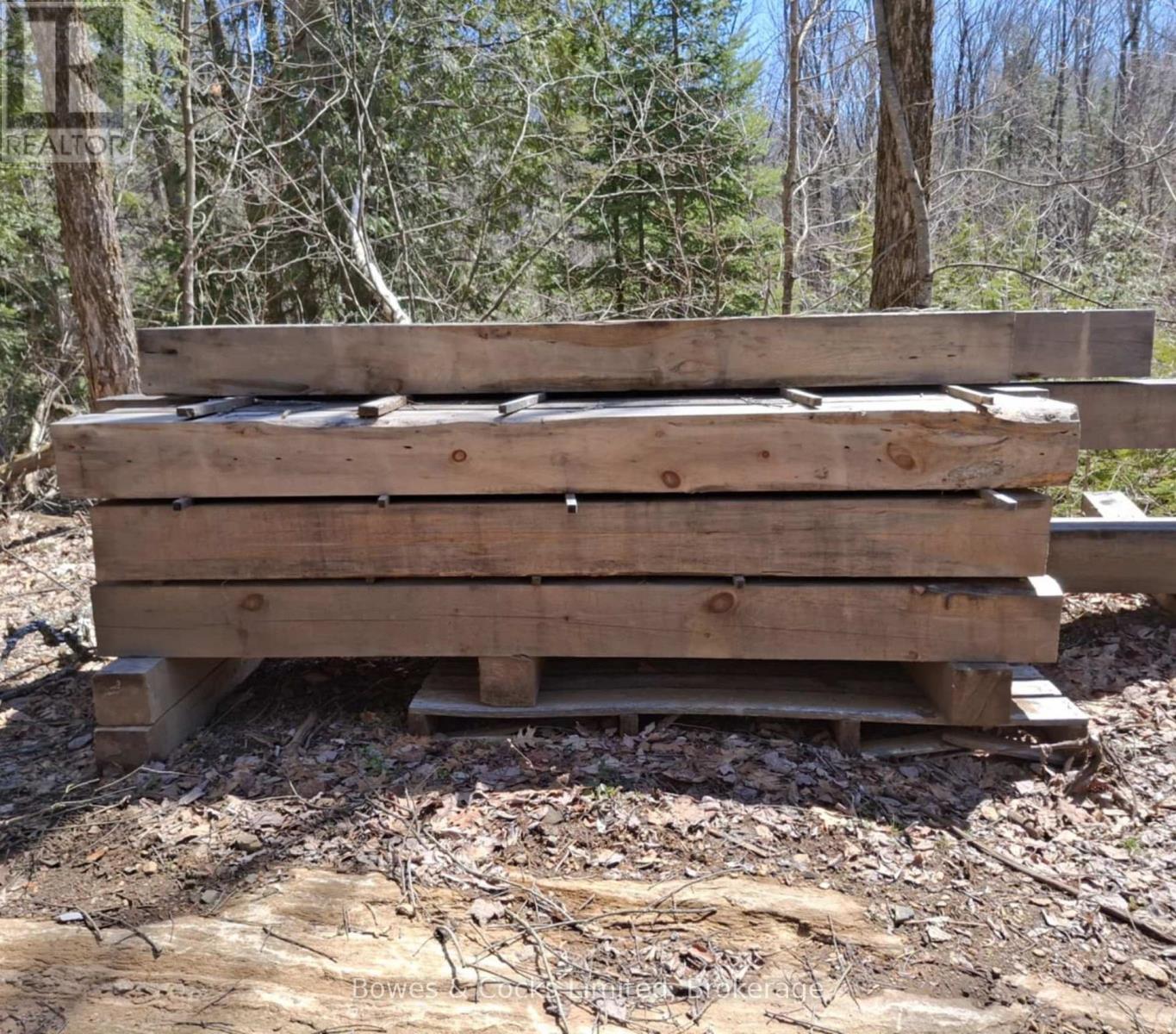 2018 Fortesque Lake Road Property Photo 12