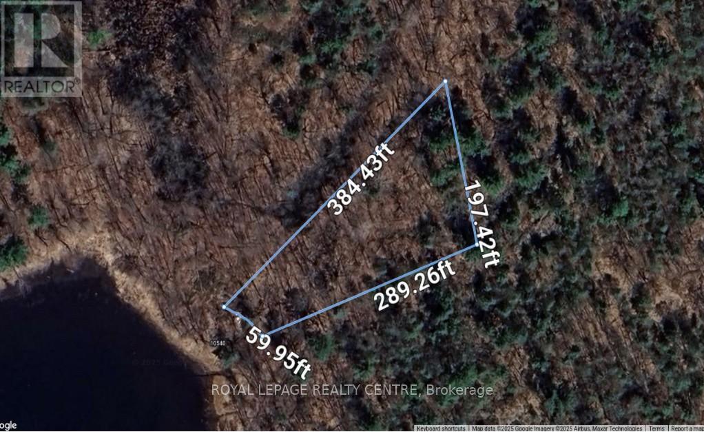 10540 Georgian Bay Shore Property Photo 2