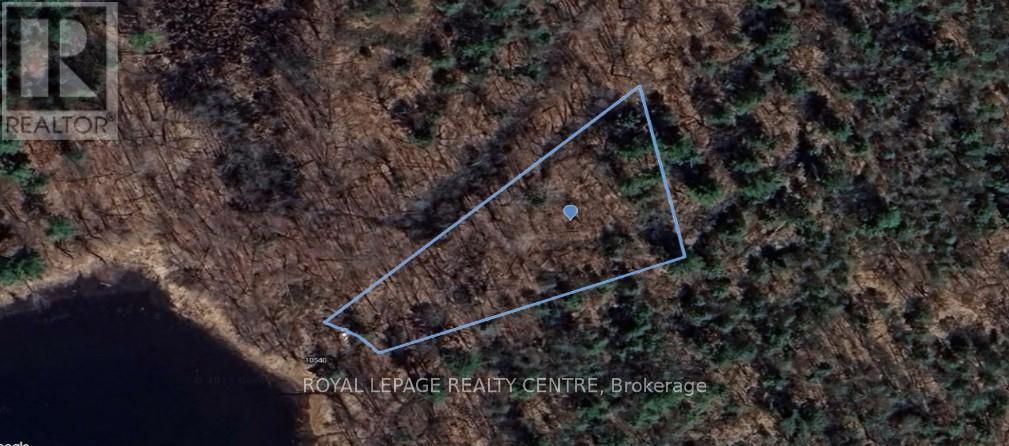 10540 Georgian Bay Shore Property Photo 3