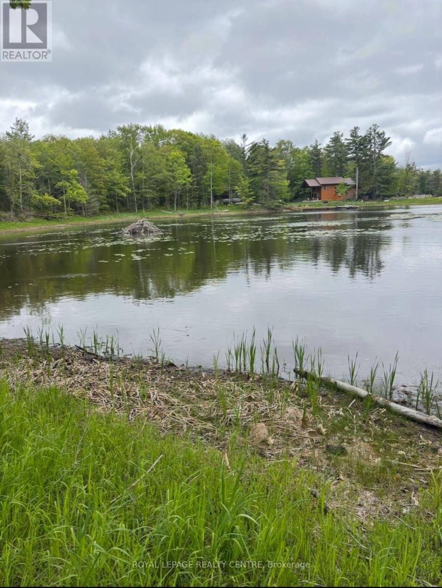10540 Georgian Bay Shore Property Photo 4